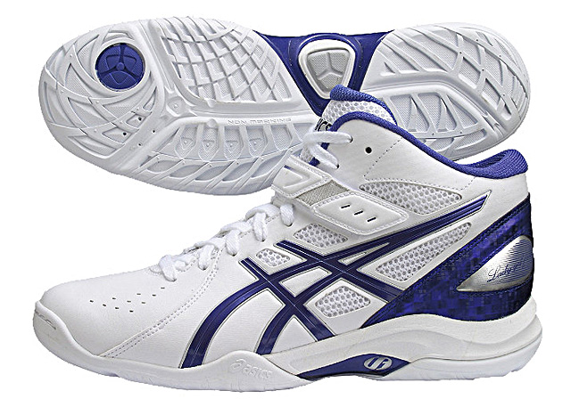 レディゲルフェアリー』シリーズの特徴